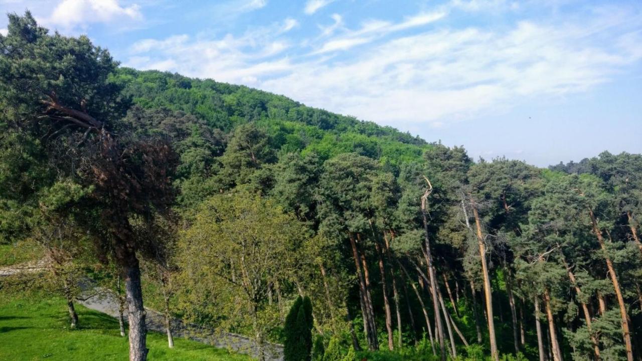 The Pines Boutique Villa Brašov Exteriér fotografie